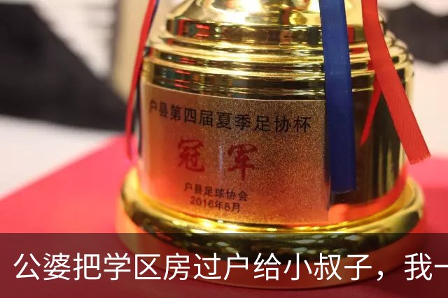 公婆把学区房过户给小叔子，我一声不吭，三年后婆婆摔断腿，我拿出一纸协议小叔夫妻跳脚