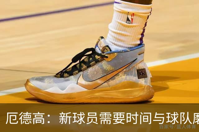 厄德高：新球员需要时间与球队磨合，我们每周都在变得更好