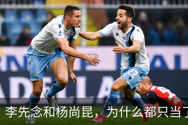 李先念和杨尚昆，为什么都只当了一届国家主席？