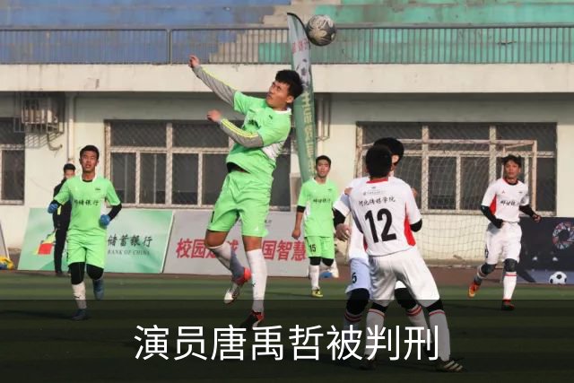 演员唐禹哲被判刑