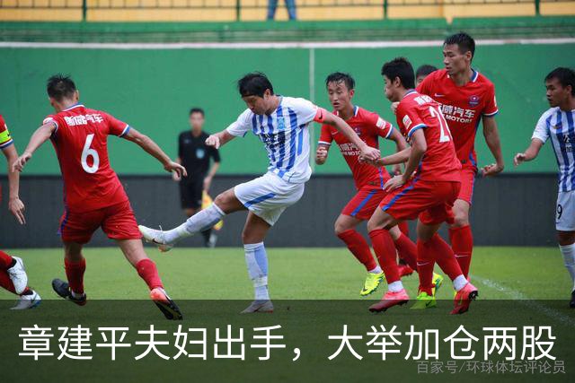 章建平夫妇出手，大举加仓两股