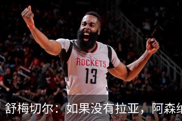 舒梅切尔：如果没有拉亚，阿森纳绝对不可能接近英超冠军