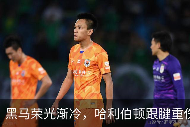 黑马荣光渐冷，哈利伯顿跟腱重伤归来重新出发